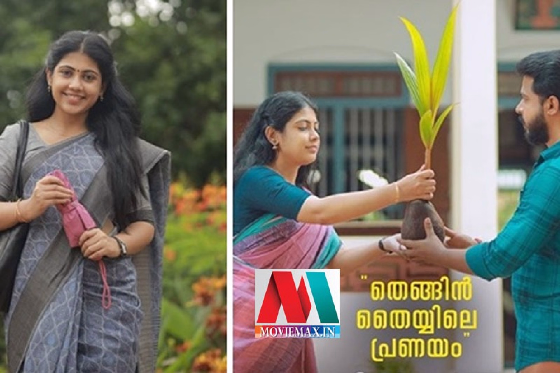തെങ്ങ് തൈയിലെ പ്രണയം 'തെങ്ങ് ചതിക്കില്ല' എന്ന പഴഞ്ചൊല്ല്  ജീവിതത്തില്‍ ഗുണമായി 