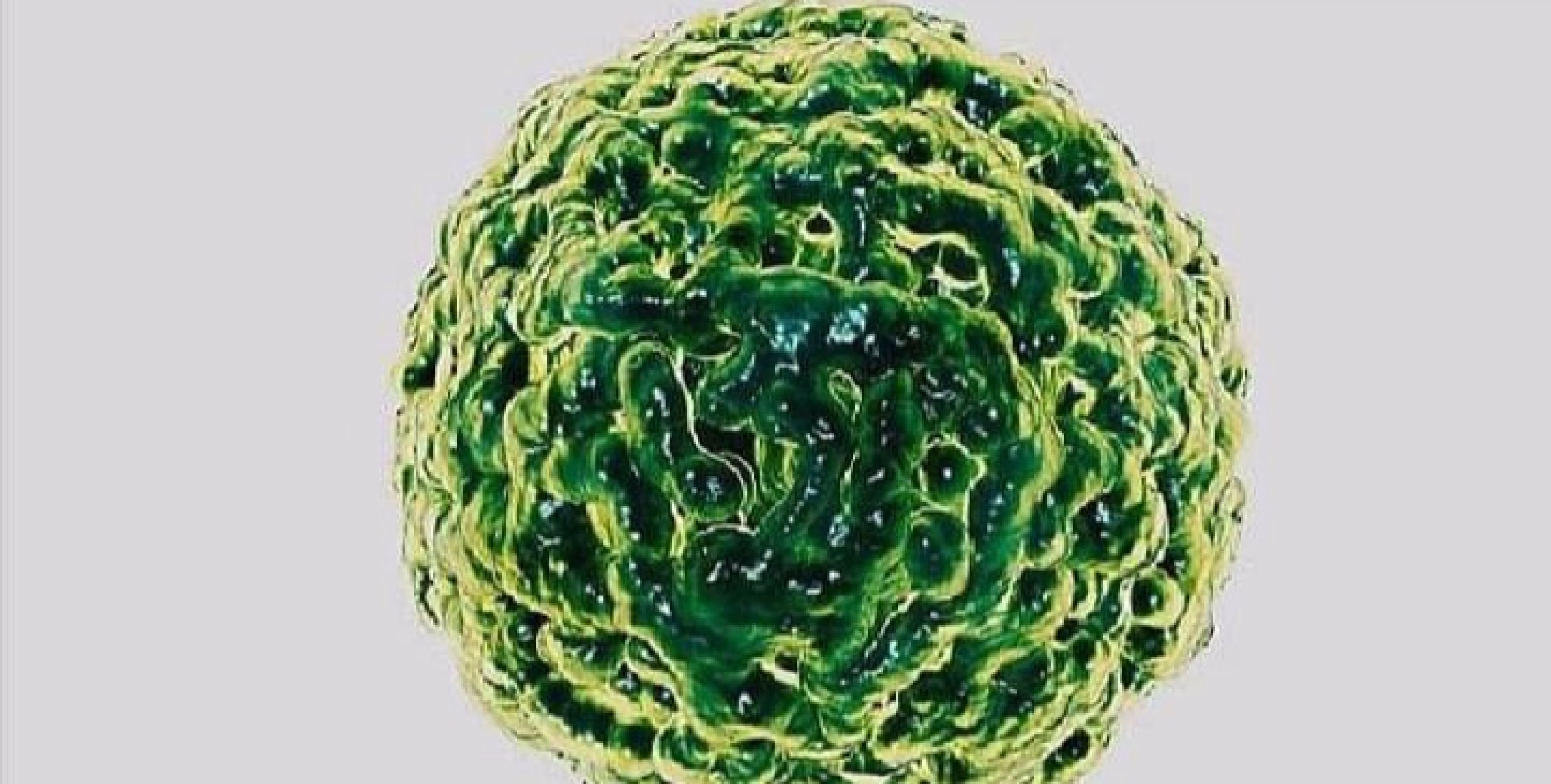 തൃശൂരിൽ നാല് പേർക്ക് കൂടി നോറോ വൈറസ്