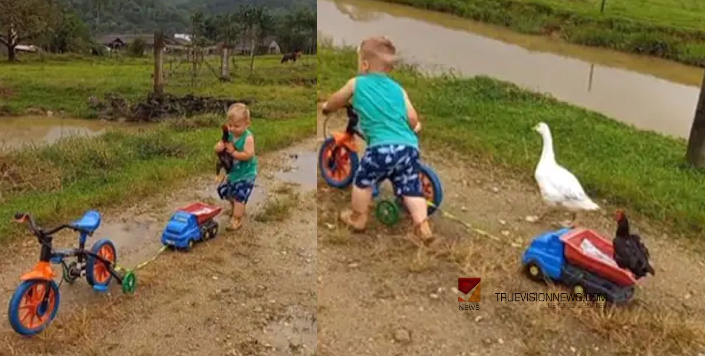 എത്ര സന്തോഷം തോന്നിക്കുന്ന- മനസ് നിറയ്ക്കുന്ന രംഗം; നിഷ്കളങ്കത നിറഞ്ഞ വീഡിയോ കാണാം 