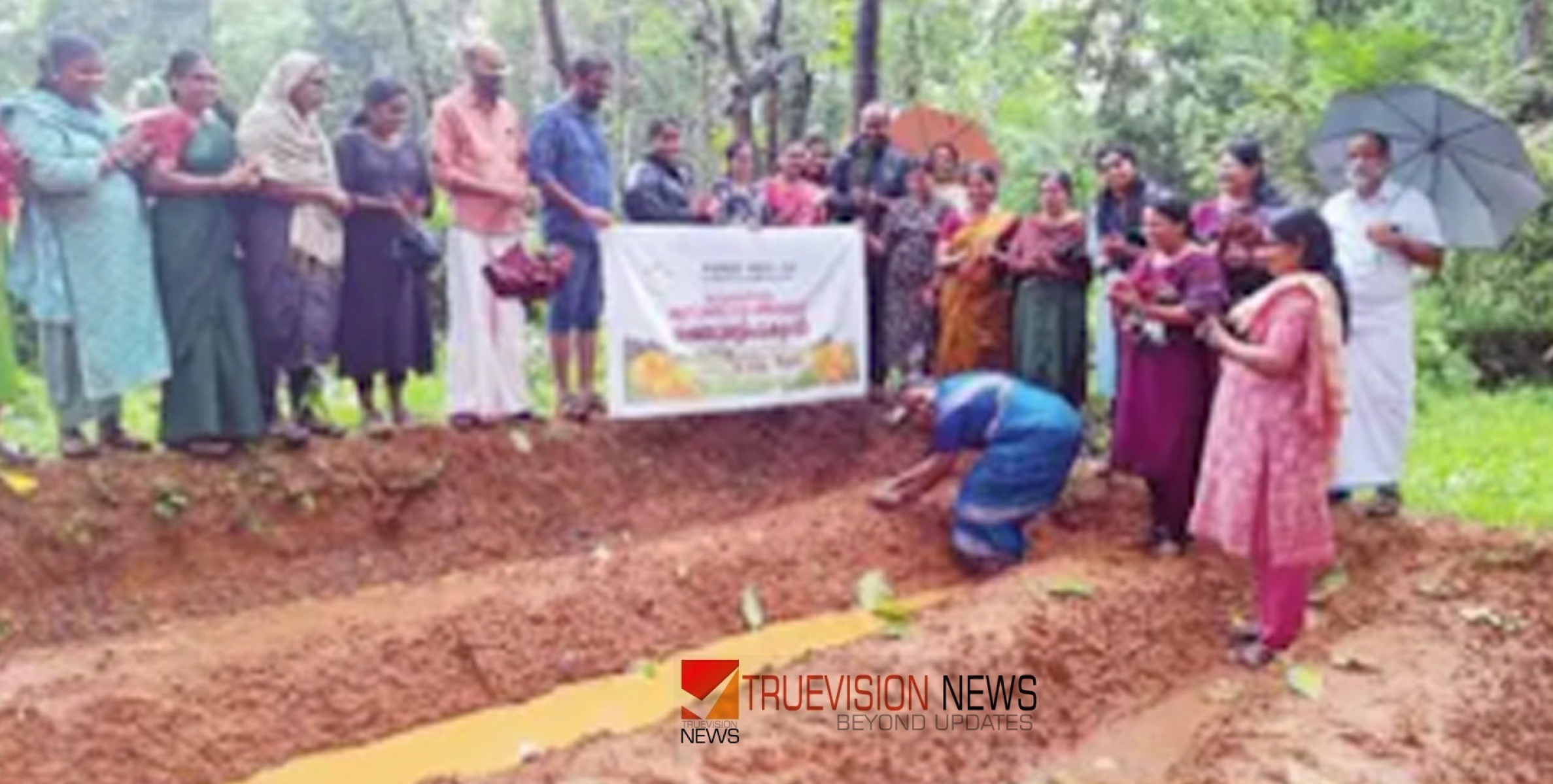 #Kunnummal | കുന്നുമ്മല്‍ പഞ്ചായത്തിൽ ചെണ്ടുമല്ലി കൃഷി