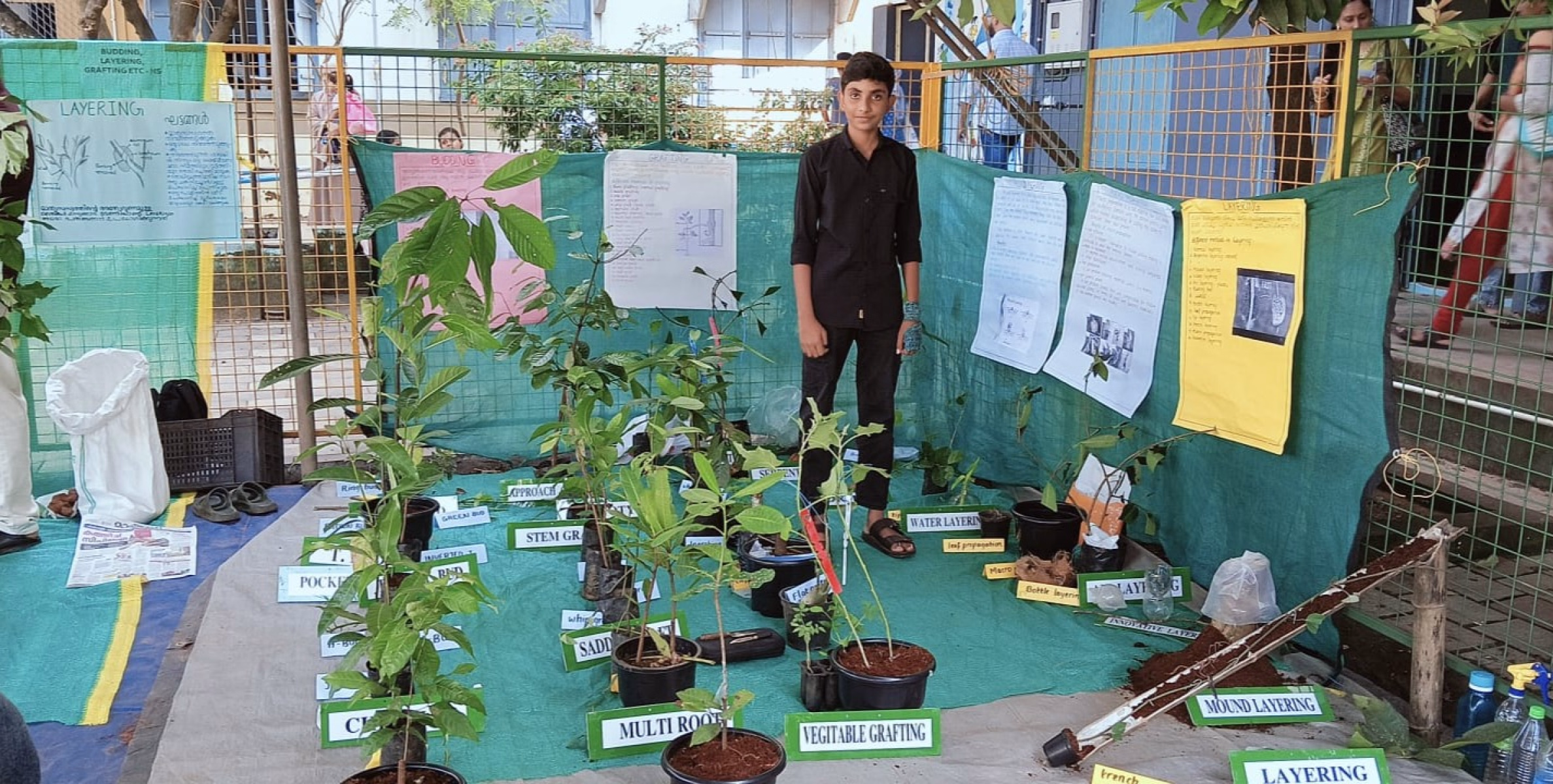 സ്കൂൾ പ്രവർത്തി പരിജയ മേളയിൽ ബഡ്ഡിംഗ്  ഗ്രാഫറ്റിങ്ങിൽ ഫസ്റ്റ് എ ഗ്രേഡ് നേടി ജോഹാൻ