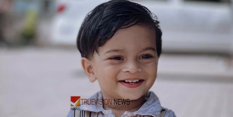 'മറ്റൊരു കുടുംബത്തെ കൂടെ കണ്ണീരിലാക്കാനില്ല'; ഉള്ളുരുകുമ്പോഴും മകന്റെ മരണത്തിന് കാരണക്കാരനായ ഡ്രൈവർക്ക് മാപ്പുനൽകി മലയാളി ദമ്പതികൾ