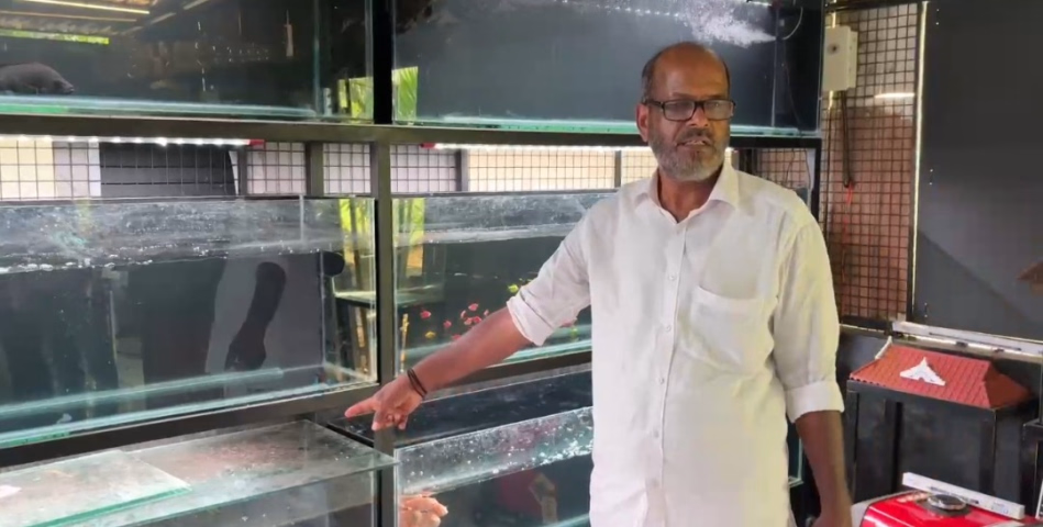 കണ്ണൂർ ചാലാടിനടുത്ത് ഫിഷ് ഫാമിൽ വളർത്തു മത്സ്യങ്ങൾ മോഷണം പോയി  : പോലീസ് അന്വേഷണം ആരംഭിച്ചു