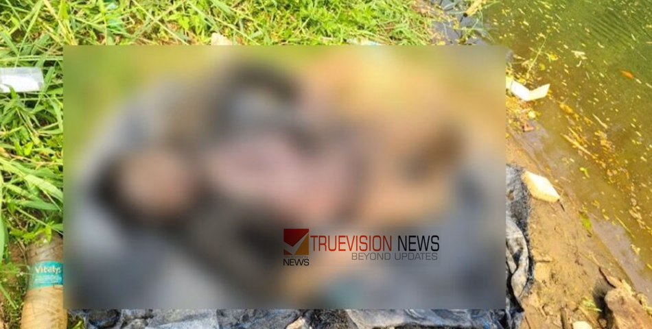 അച്ചൻകോവിലാറ്റിൽ കൈപ്പുഴ കടവിന് സമീപത്ത് യുവാവിൻ്റെ മൃതദേഹം കണ്ടെത്തി