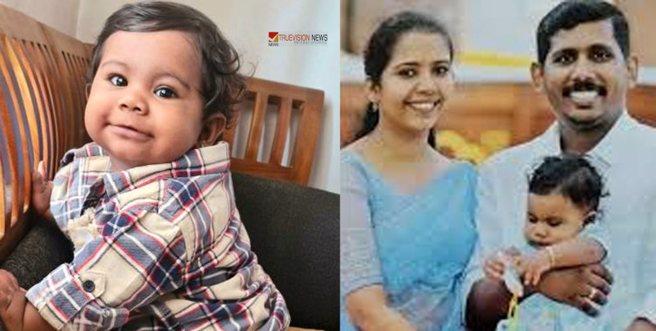 'ആലിനെ ആഘോഷിക്കുന്ന മലയാളികൾക്ക് ലജ്ജിക്കണം; വിദേശത്തായിരുന്നെങ്കിൽ മാതാപിതാക്കൾ ജയിലിലായേനെ', വിമർശനവുമായി എതിരൻ കതിരവൻ