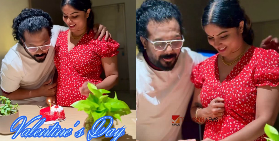 'അയിന്? സ്വന്തം കാര്യം നോക്കിയാൽ പോരെ?': വാലന്റൈൻസ് ദിന പോസ്റ്റിന് താഴെ ചൊറിഞ്ഞെത്തിയവർക്ക് ജിഷിൻ മോഹന്റെ മാസ് മറുപടി