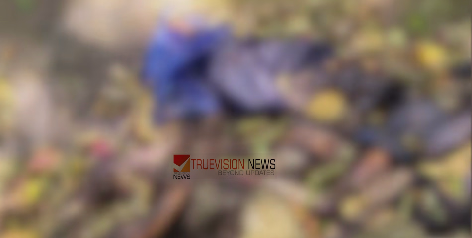  നിലമ്പൂരിൽ   കാടിനുള്ളിൽ കൊട്ടയും കത്തിയും, അരികിൽ രണ്ട് മാസത്തോളം പഴക്കമുള്ള മൃതദേഹം; അന്വേഷണം 