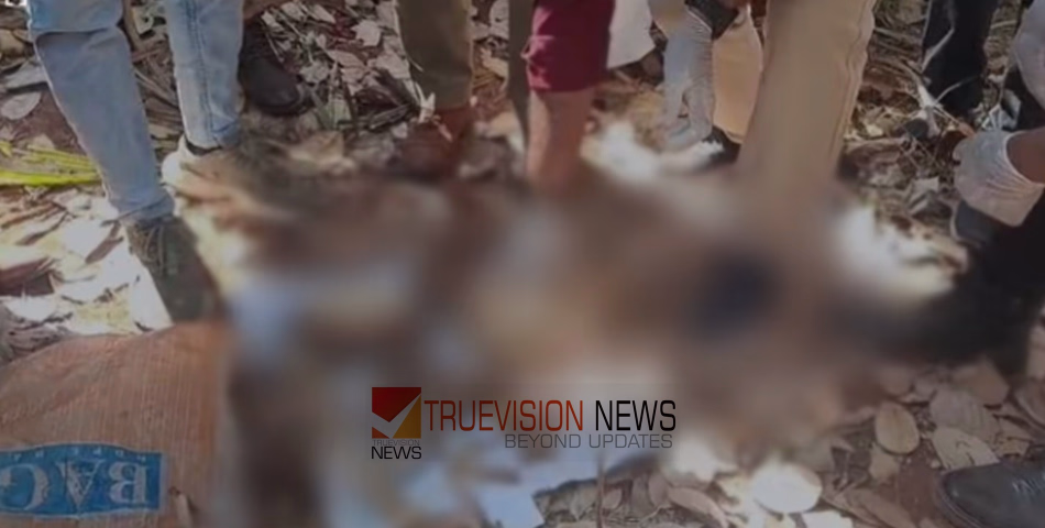 തലയോട്ടിയിൽ 'വാസു' എന്ന് എഴുതിയ നിലയിൽ! തിരുവനന്തപുരത്ത് ചാക്കിൽ കെട്ടിയ നിലയിൽ രണ്ട് തലയോട്ടികളും അസ്ഥികളും കണ്ടെത്തി