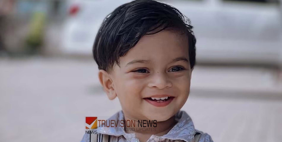 'മറ്റൊരു കുടുംബത്തെ കൂടെ കണ്ണീരിലാക്കാനില്ല'; ഉള്ളുരുകുമ്പോഴും മകന്റെ മരണത്തിന് കാരണക്കാരനായ ഡ്രൈവർക്ക് മാപ്പുനൽകി മലയാളി ദമ്പതികൾ