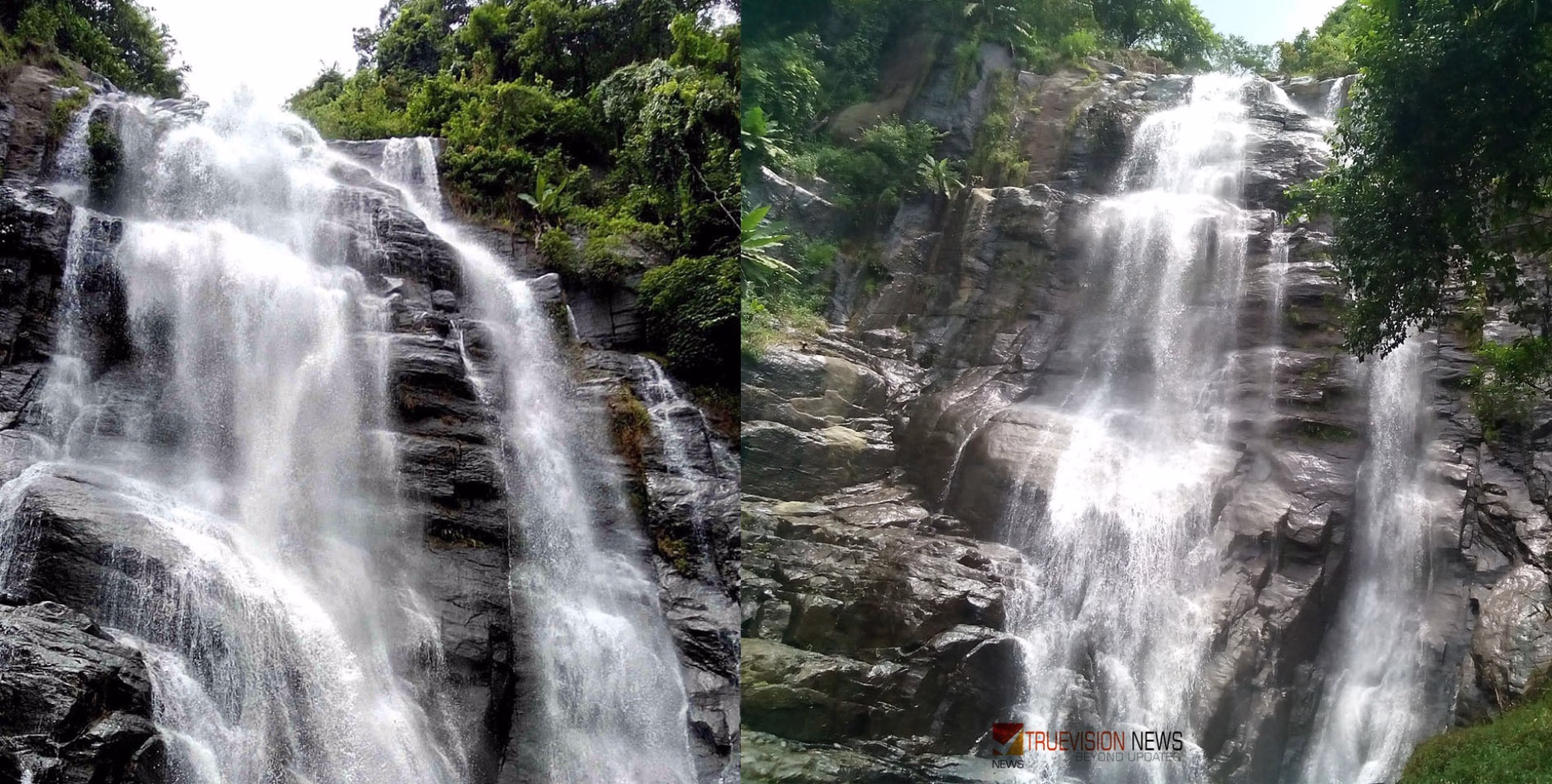 മഴക്കാലത്തേക്ക് ഓർത്തുവെക്കാം;  കോട്ടയത്തിന്റെ കാടിനുള്ളിലെ ഈ വെള്ളിനൂൽ വിസ്മയം