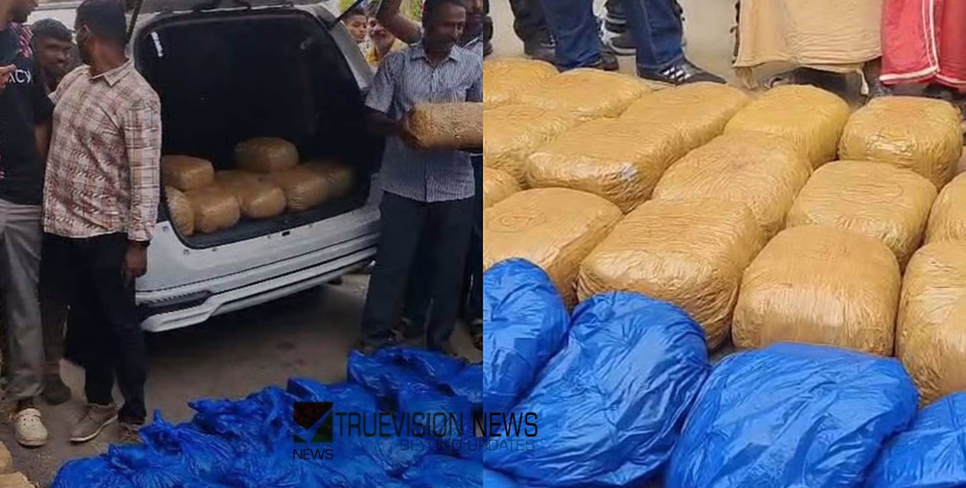 വാഹനത്തിൽ ഒളിപ്പിച്ച നിലയിൽ 350 കിലോഗ്രാം കഞ്ചാവ്; തലസ്ഥാനത്ത് വൻ ലഹരി വേട്ട