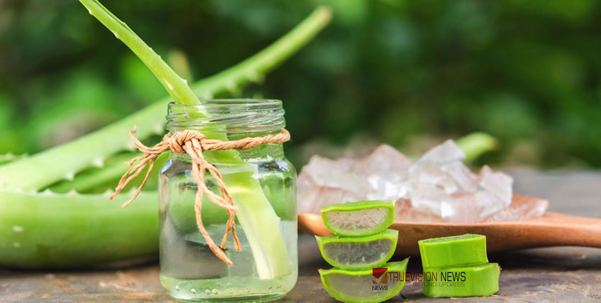 വീട്ടിലൊരു കറ്റാർവാഴയുണ്ടോ? എങ്കിൽ ഡോക്ടറെയും ബ്യൂട്ടി പാർലറിനെയും മറന്നേക്കൂ!